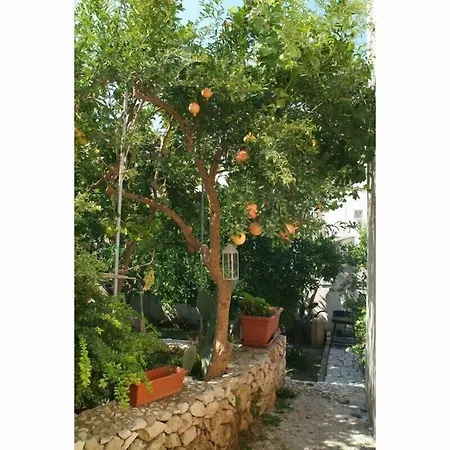 B&B Vico Minghetti
